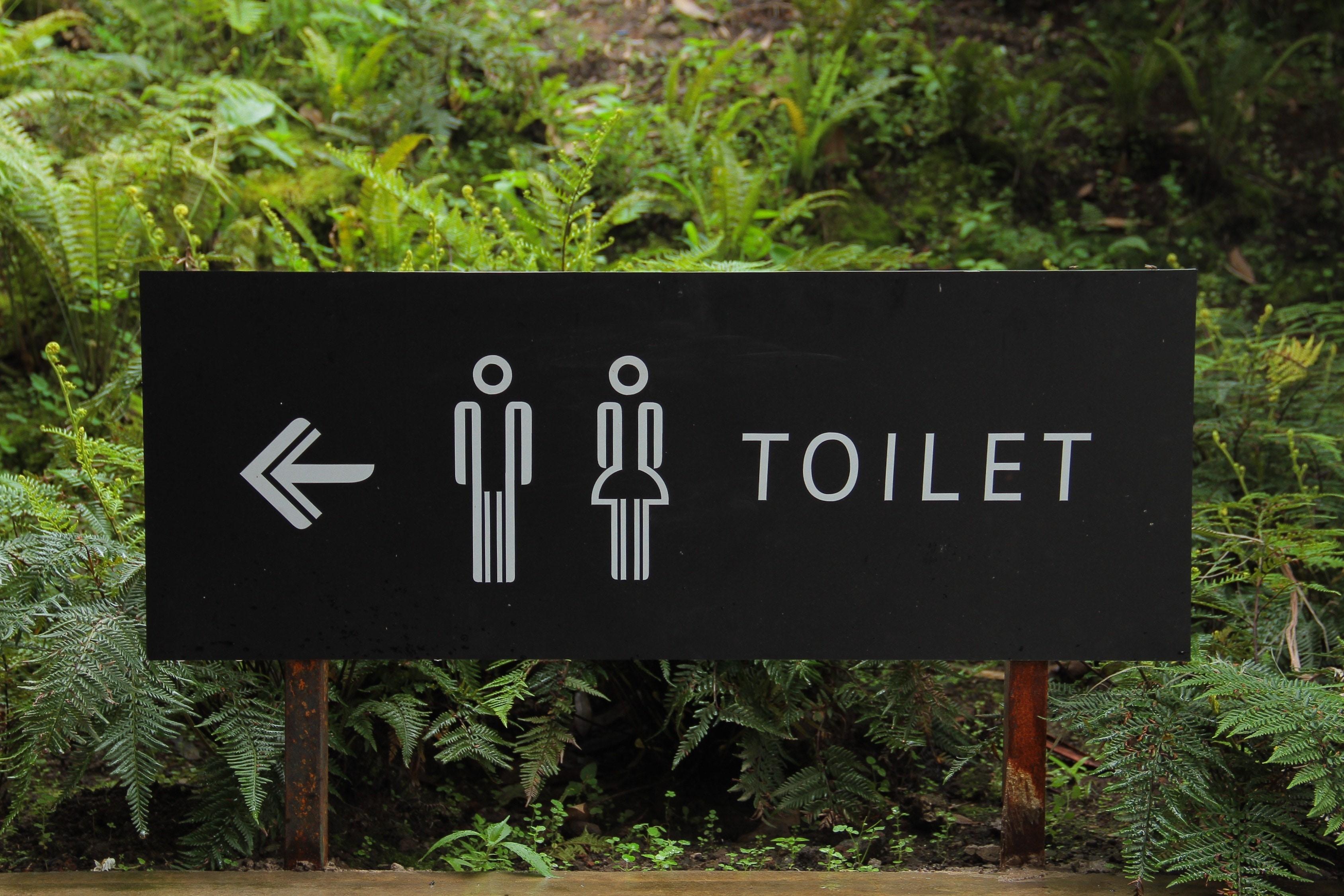 Preventing toilets problems with Plumbing Sales