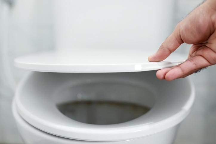 How Often Should You Change Your Toilet Seat?