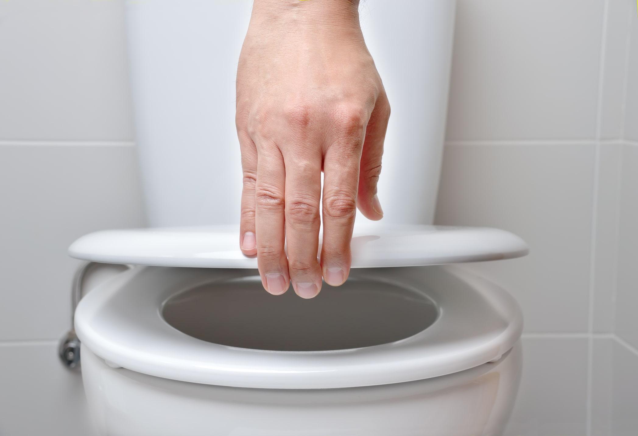 caroma toilet