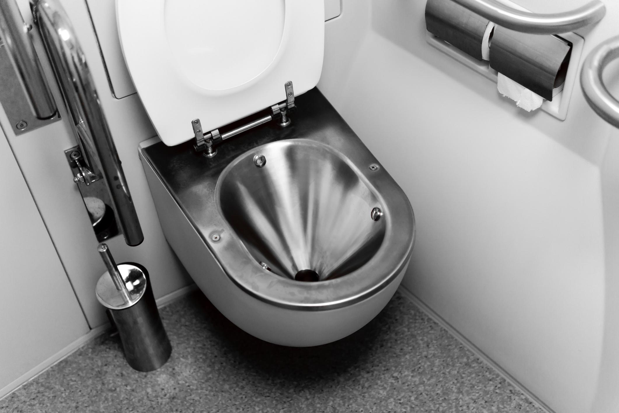 stainless toilet