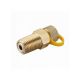 6mm Gas Test Plug Brass