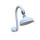 Traditional Curved Swan Neck Shower Arm and Rose White Chrome TP5929 