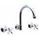 Whitehall Ezy Clean Wall Sink Set Goose Neck Outlet