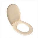 Toilet Seat For Caroma Caravelle