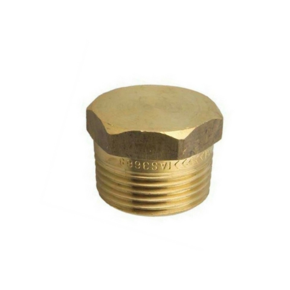 6mm 1 4 Quot Brass Plug Bsp