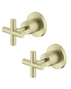 Nero X Plus Brushed Gold Wall Top Assembly Pair NR201609BG