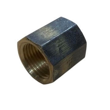 20mm Brass Socket Hex BSP LF  