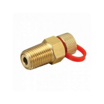 6mm Water Test Plug Brass