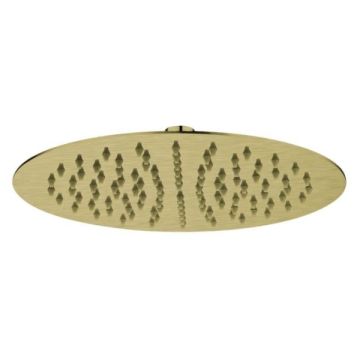 Cob & Pen Stainless Shower Head 250mm Brushed Gold - Birch