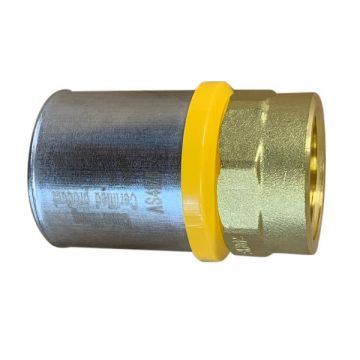32 X 25Fi Female Union Gas Water Pex
