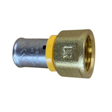 20 X 15Fi Female Union Gas Water Pex