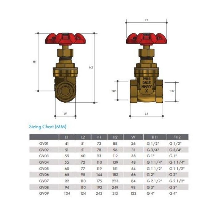 25mm Gate Valve Brass General Purpose Female 1" BSP 