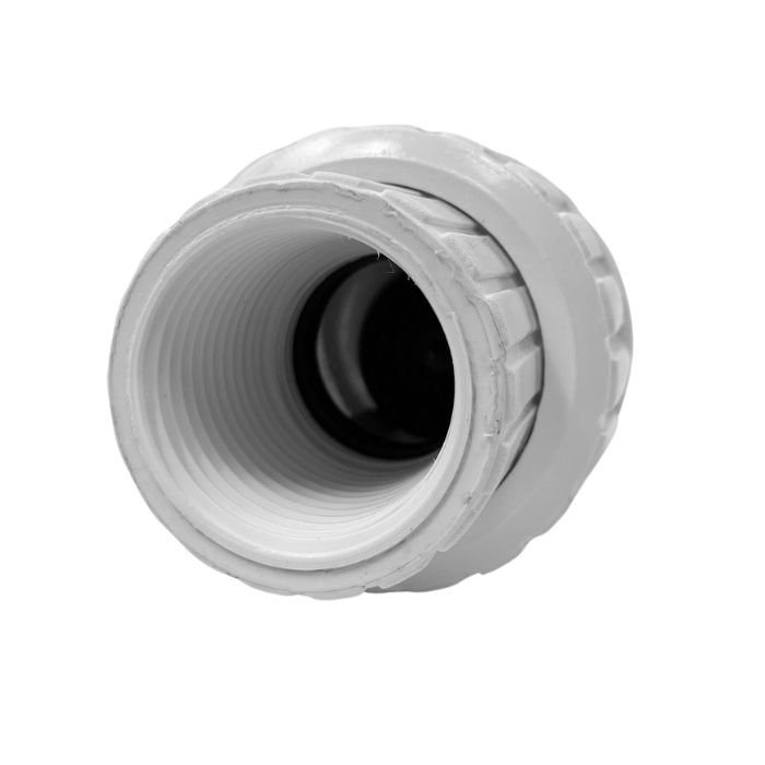 25mm 1" PVC Ball Check Valve BSP Threaded TBCVT025