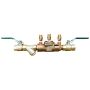 25mm Watts 007-LBS Bronze Double Check Backflow Preventer Valve Ball Valves & Strainer thumbnail