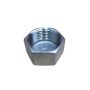 50mm Cap Hex BSP Stainless Steel 316 150lb  thumbnail