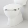 Caroma Caravelle Soft Close Toilet Seat White 254003W installed thumbnail