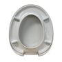 Caroma Pedigree 2 Toilet Seat Standard Hinge White 320020W  thumbnail