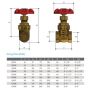 25mm Gate Valve Brass General Purpose Female 1" BSP  thumbnail