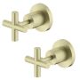 Nero X Plus Brushed Gold Wall Top Assembly Pair NR201609BG thumbnail