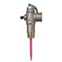 RMC HTE575-1 1000 Kpa 20mm Pressure Temperature Relief Valve HTE703  thumbnail